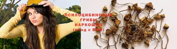 кокаин Новокубанск