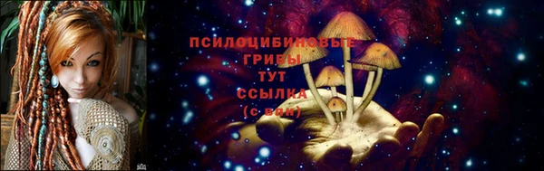 хмурый Нязепетровск