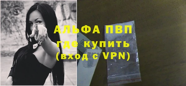 соль ск Новодвинск
