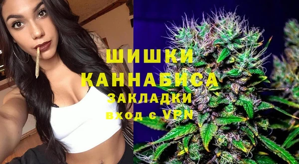 соль ск Новодвинск