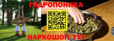 ПСИЛОЦИБИНОВЫЕ ГРИБЫ Бийск
