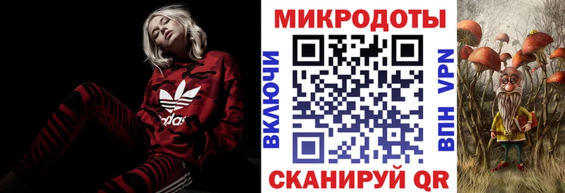 где можно купить   Волгоград  Галлюциногенные грибы ЛСД 
