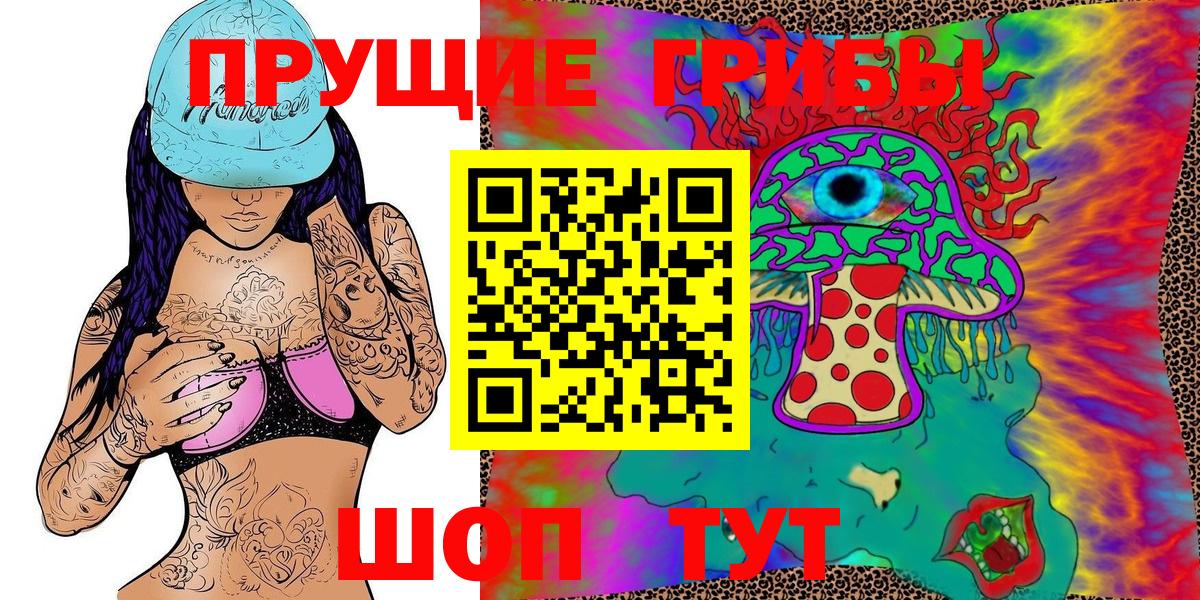 Галлюциногенные грибы Psilocybe Волгоград